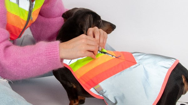 Dogwear - Luna