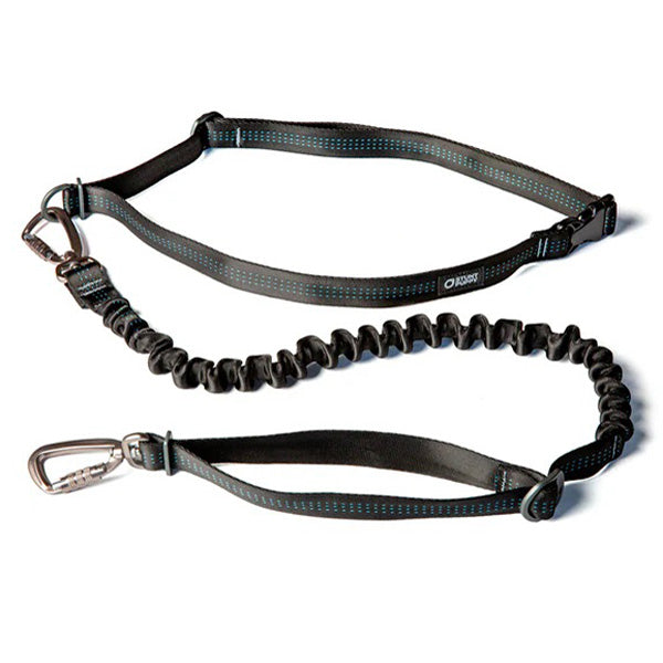 Stunt Puppy Stunt Runner