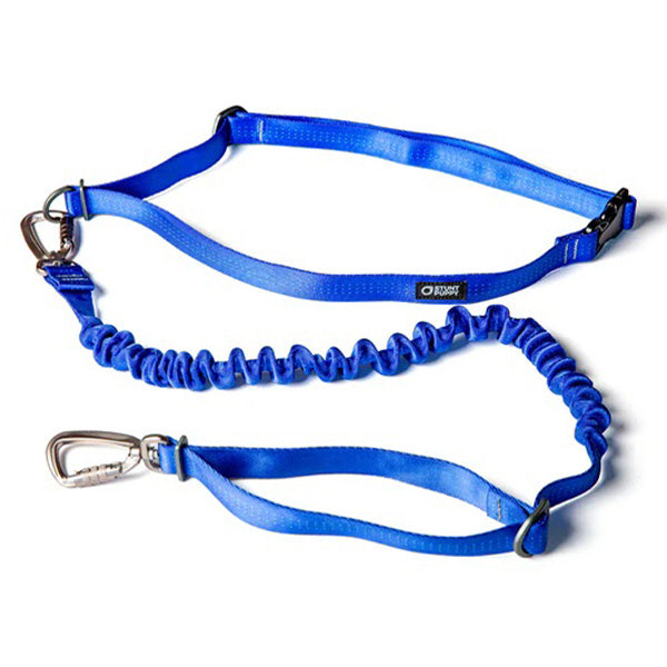 Stunt Puppy Stunt Runner