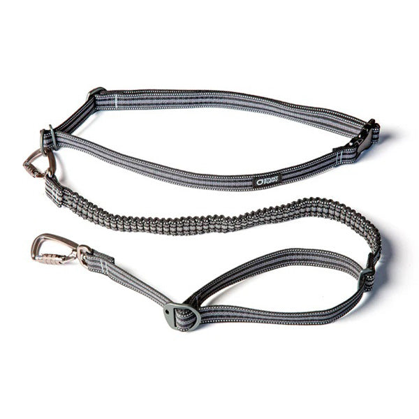 Go Dog Glo Stunt Runner