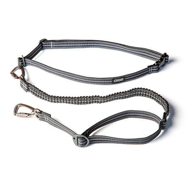 Go Dog Glo Stunt Runner