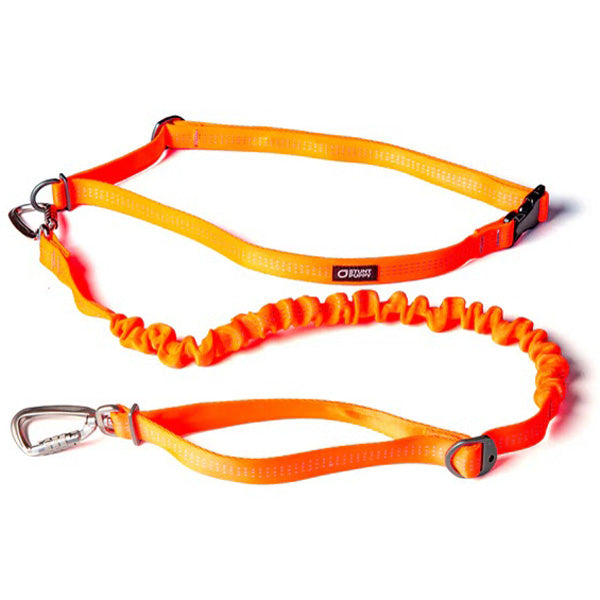 Stunt Puppy Stunt Runner