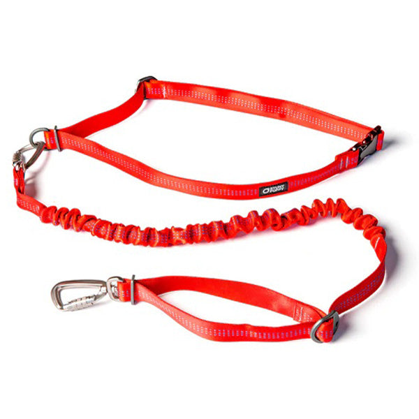 Stunt Puppy Stunt Runner